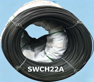 Azzar Aotian|SWCH22A Wajer tal-Azzar tal-Intestatura kiesħa Premium, Għażla I...